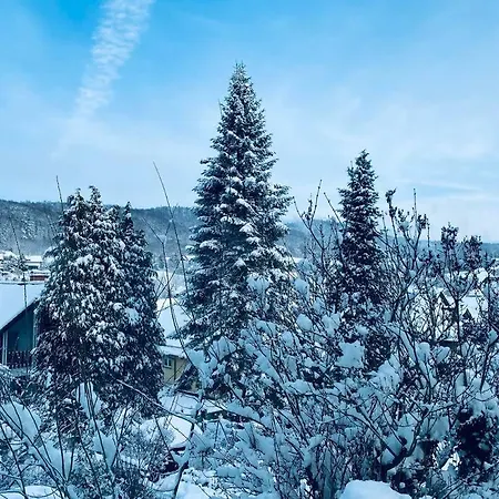 Appartement Mit Talblick Fuer Monteure