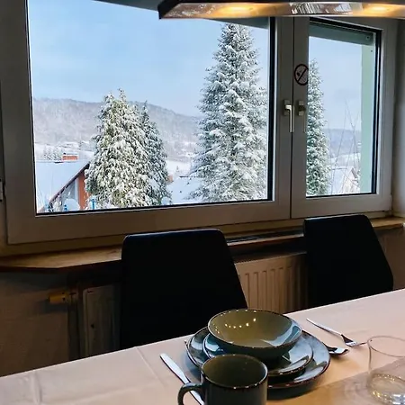 Appartement Mit Talblick Fuer Monteure *