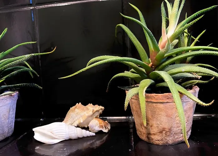 Mit Talblick Fuer Monteure